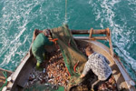 adriatic sea fishermen
